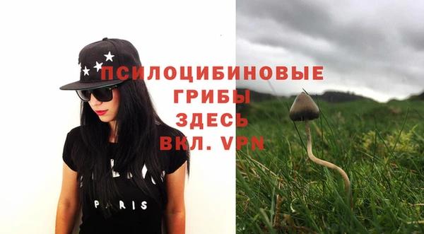 спиды Балахна