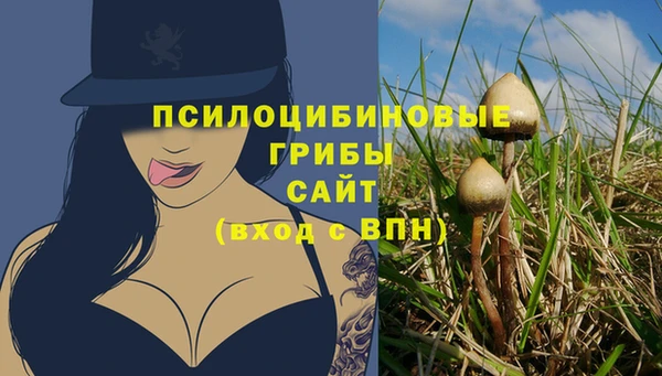 спиды Балахна