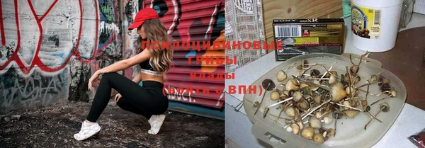 спиды Балахна